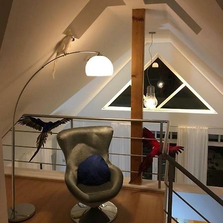 Ferienimspessart Og Appartement Bad Soden-Salmünster Buitenkant foto