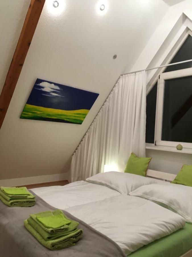 Ferienimspessart Og Appartement Bad Soden-Salmünster Buitenkant foto