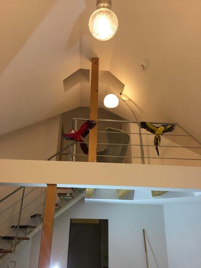 Ferienimspessart Og Appartement Bad Soden-Salmünster Buitenkant foto