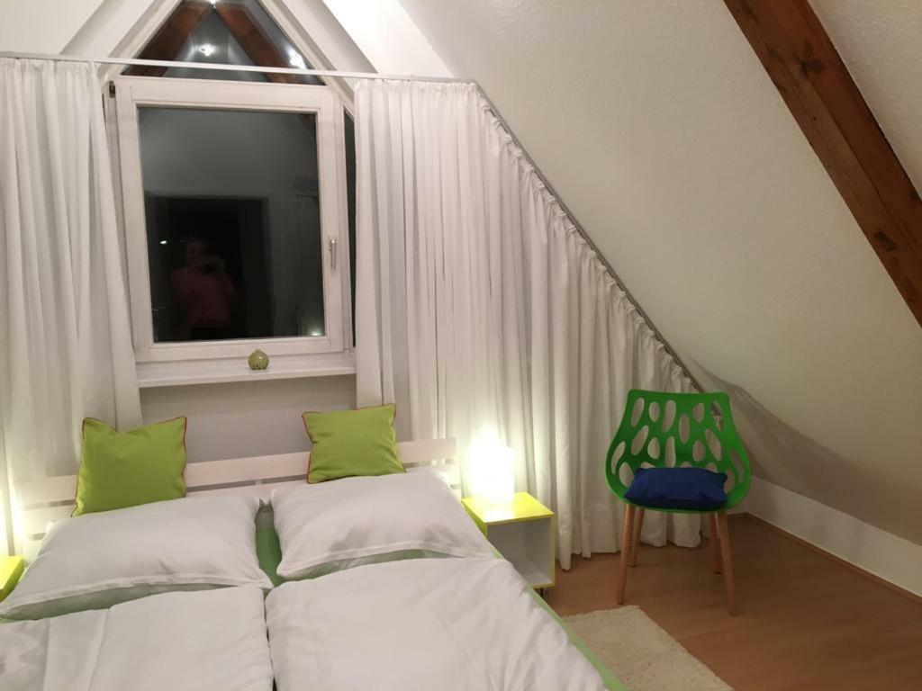Ferienimspessart Og Appartement Bad Soden-Salmünster Buitenkant foto